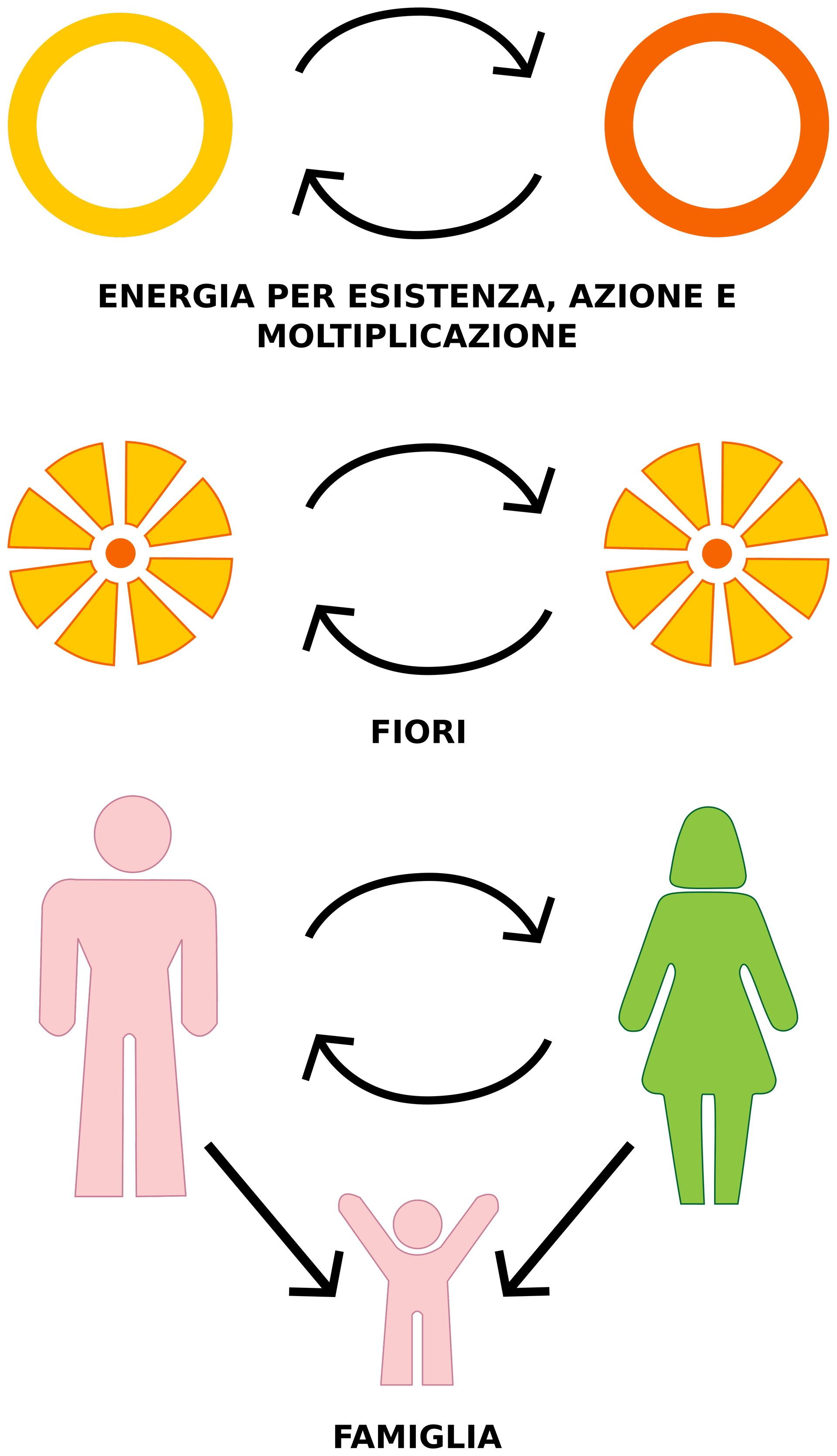 fig.9