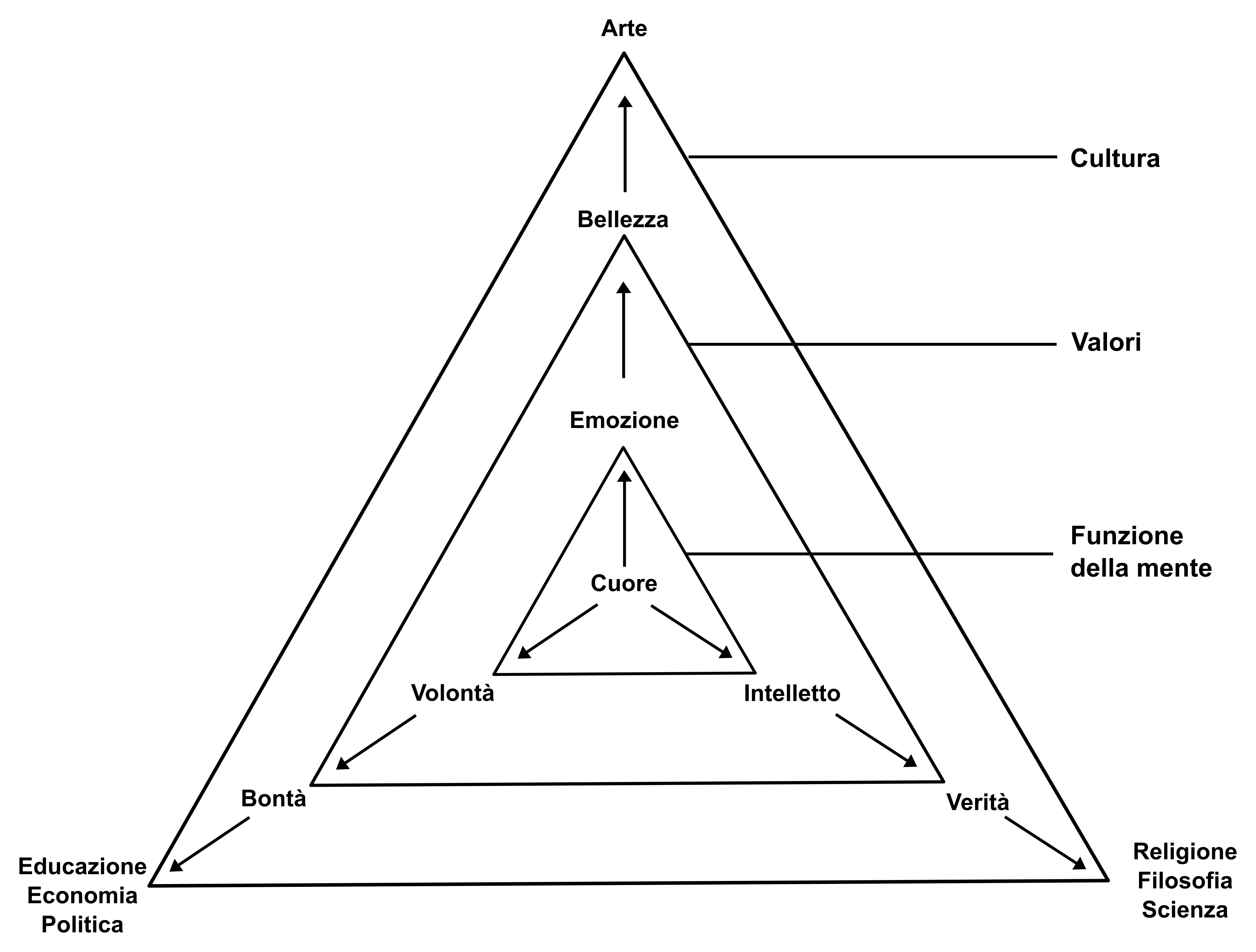 figura 11