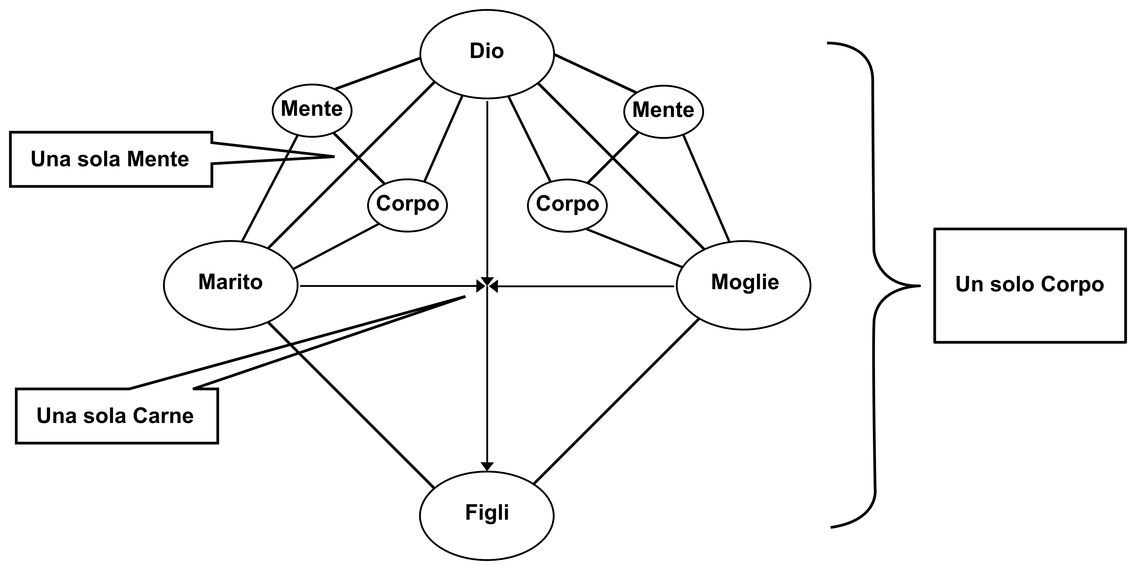 figura 14